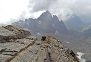 88 Vista sul Recastello e sulla vedretta e valle del Trobio